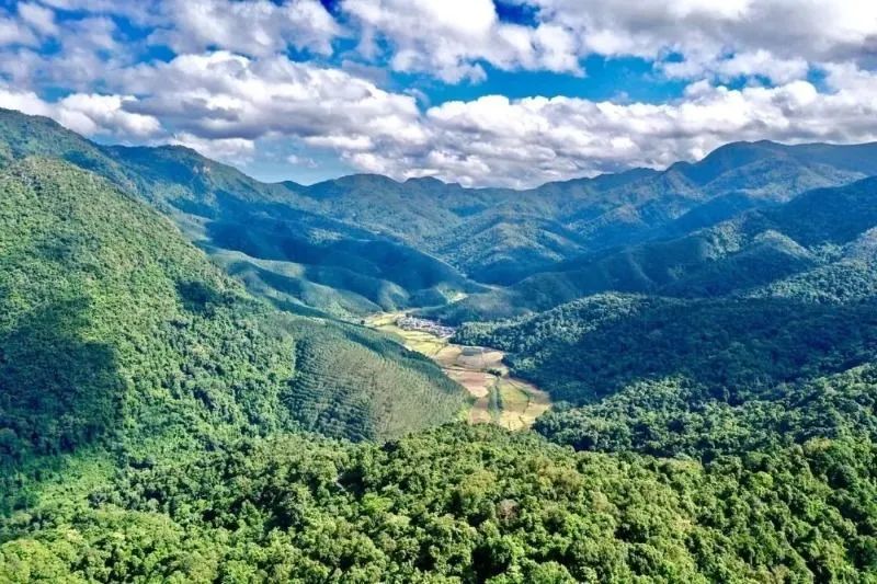 西雙版納旅游